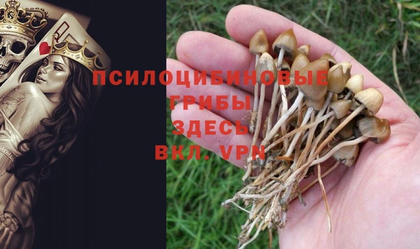 mdpv Гусиноозёрск