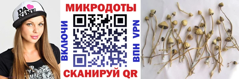 hydra ссылка  даркнет телеграм  Галлюциногенные грибы мицелий  Суздаль 