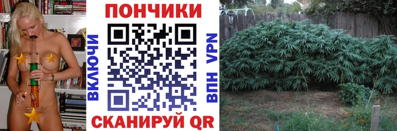 Бошки Шишки LSD WEED  Суздаль 